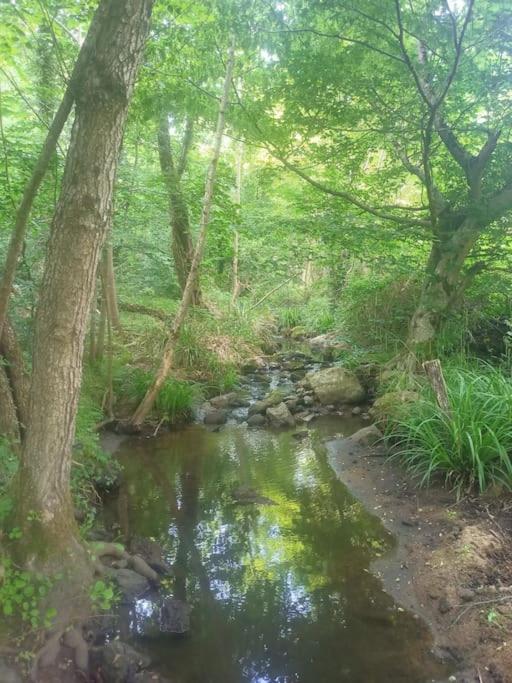 Ecrin De Verdure En Ardeche Verte Colombier-le-Vieux Luaran gambar